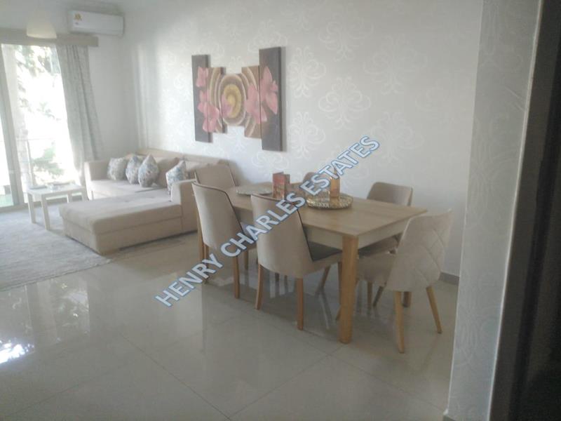 LUXURY FURNISHED TWO BEDROOM APARTMENTS
