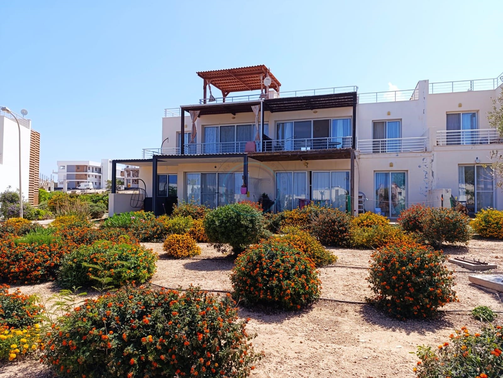 ONE BEDROOM MEDITERRANEAN PENTHOUSE